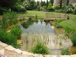 Natural Swimming Pools Garden Pool Swimming Pool Pond Natural Swimming Ponds