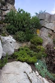 1,35€/appel + 0,34€/min numéro de téléphone de mise en. Jardin Botanique Et Exotique Roscoff London Traveller
