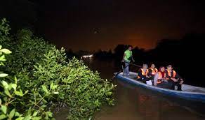 Experience the magic of nature at kampung kuantan firefly park, where you can take a motor boat out onto the river to see the glowing insects thriving among the mangrove trees. It Could Be Lights Out For Fireflies