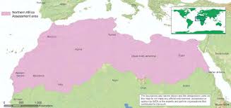 Image result for Pycreus fluminalis