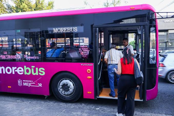 Protestan contra el Morebús en Morelia: ¿Realmente serán talados 613 árboles? Esto dice el Gobierno – El Financiero