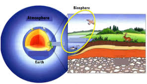 Biosphere Lesson For Kids Definition Facts Study Com