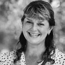 FLYING FRUIT FLY CIRCUS