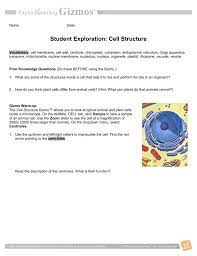 Student exploration cell structure answer key. Cell Structure