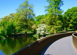 The Sackler Crossing At Royal Botanic Gardens Kew Gardens Of The World Kew Gardens Kew