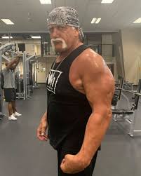 Was macht hulk hogan heute? Bremsen Geschmolzen Hulk Hogans Flugzeug Musste Notlanden Promiflash De