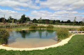 Natural Swimming Pond Designs From Gartenart Natural Swimming Ponds Swimming Pond Natural Swimming Pools