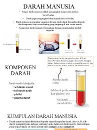 Apakah darah merah dihasilkan dari sumsum merah? Bab 3 Darah Manusia