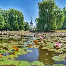 Das Schlossgartensee Ist Gerade Voller Wunderschoner Seerosen Perfekt Fur Einen Freierabendspaziergang Visitkar Instagram Pictures Private Garden Garden Park