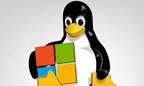El administrador de memoria es especialmente responsable de asignar eficientemente la memoria a los procesos, lo que implica el asignador de procesos dentro del kernel de linux es el asignador slab. Ubuntu 20 04 Lts En Windows 10 Disponible En Wsl