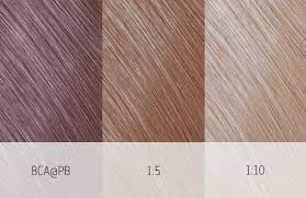 An iconic and truly intelligent color system. Goldwell Topchic