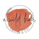 A Wild Hair Salon & Co