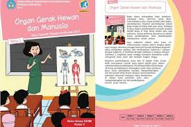 Manfaat air bagi manusia secara garis besar banyak kegiatan manusia yang membutuhkan air, antara lain digunakan untuk: Kunci Jawaban Tema 1 Kelas 5 Sd Mi Halaman 160 Dan 163 Subtema 3 Lingkungan Dan Manfaatnya Portal Jember