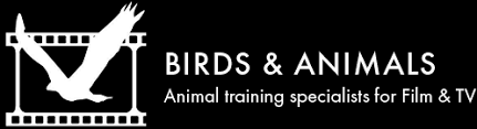 Department of agriculture (usda) has issued four official warnings to birds & animals unlimited for. About Birds Animals