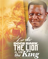 Be the LION🦁 #BroRonnieMakabai #HolyCityEntebbe #king