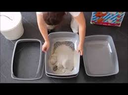 Top entry boxes may be mess free, however, it can be a challenge for an older. Always Cat Litter Box Easy Clean Youtube
