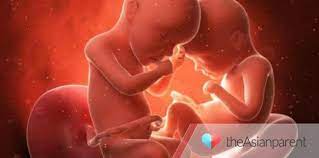 Tali pusat berfungsi mengantarkan nutrisi dan oksigen dari mama untuk si kecil sehingga tumbuh sehat dalam kandungan. Bayi Terlilit Tali Pusat Bisa Terjadi Pada Kehamilan Ini Kisah Seorang Bunda Theasianparent Indonesia