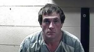 Man pleads guilty in vehicle death, sentenced to 12 years