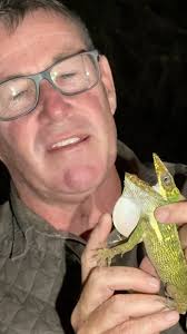 How amazing is this Cuban Anole