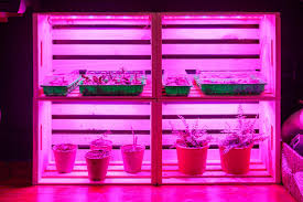 Maybe you would like to learn more about one of these? Diy Grow Stand For Indoor Plants And Seedlings Hgtv