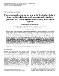 Image result for Alchornea hirtella