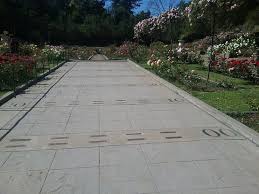 Who originally sang rose garden. Mother Of Year Walk Picture Of Morcom Amphitheater Of Roses Oakland Tripadvisor