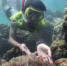 Teluk ijo banyuwangi juga memiliki air terjun yang kurang lebih jaraknya 20 meter dari teluk dan berada di sebelah timur. Tiket Masuk Teluk Biru Banyuwangi Teluk Ijo Banyuwangi