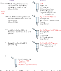 Figure 3 From Pull Down Of 5 Hydroxymethylcytosine Dna Using