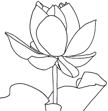 Check out our lotus flower coloring page selection for the very best in unique or custom, handmade pieces from our shops. Free Printable Lotus Coloring Pages For Kids