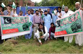 This is the meaning of tree plantation when it is taken as a a tree plantation can also be a noun. Mqi Lahore Launches Tree Plantation Campaign Minhaj Ul Quran