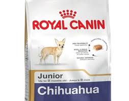 royal canin chihuahua junior 1 5 kg amazon pet center chihuahua yavru kopek cavalier king charles