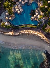 Image result for Faroa pusilla