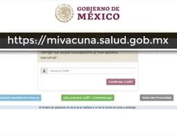 · adultos mayores y personal de residencias de larga estadía. Falla El Portal De Registro De Adultos Mayores Para Vacuna Covid Excelsior