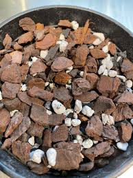 Image result for Habenaria tenuispica