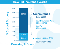 Pet insurance can help to reduce the veterinary care costs that you face during your pet's lifetime. Pet Health Insurance 101 Ifetch Dog Toys Automatic Dog Ball Launcher