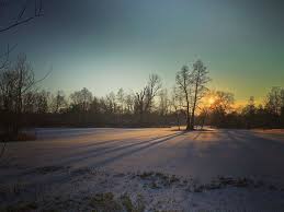 Wiesenlandschaft In Lehde Spreewald Winter Bilder