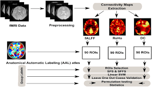 It is suitable for carrying out at home, travel. Frontiers Machine Learning Based Classification Of Resting State Fmri Features Exemplified By Metabolic State Hunger Satiety Human Neuroscience