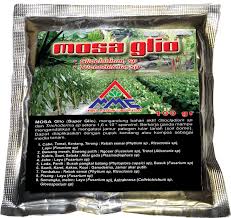 Agen pupuk hayati serbuk meulaboh, supplier pupuk hayati petrobio aceh barat daya, produsen pupuk hayati biotogrow blangpidie, tempat pupuk hayati adalah aceh besar. Agens Hayati Mosa Glio Mosa Mandiri Corporation