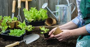 Bon vendredi à tout le monde. Que Faire Au Jardin En Mars Que Planter En Mars Potager Au Printemps