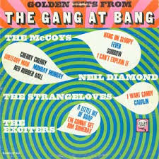 He has a way of making you feel a song to its depth. Discography List I Am I Said A Fan Of Neil Diamond
