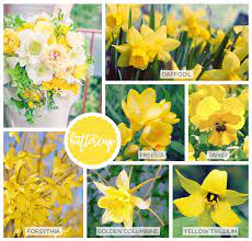 Check spelling or type a new query. 42 Spring Flowers Inspired By Pantone Colors Of The Year