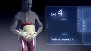 Das ist die klassische fettverbrennung, die immer und bei jedem parallel funktioniert, es sei denn, man haut sich große mengen kh rein. Mythos Fasten W Wie Wissen Ard Das Erste