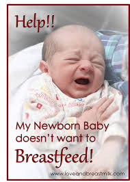 What To Do When A Newborn Is Not Breastfeeding Love And Breast Milk