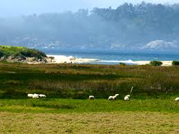 The inn now consists of 31 hotel rooms located within ten buildings on the property. The Mission Ranch In Carmel By The Sea Once Upon A Time Tales From Carmel By The Sea