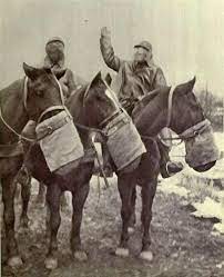 Allied soldiers and their horses wearing gas masks during world war one. Brookeusa The Veterinary Corps Poison Gas World War I Centennial