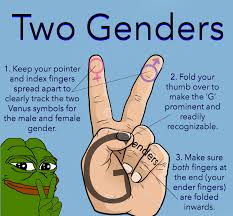 0 reviews that are not currently recommended. The Alt Right S Newest Ploy Trolling With False Symbols Wired