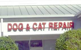 Find the perfect funny name for your business. 150 Catchy Funny Business Names Name Generator Brand Experts