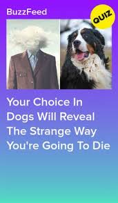 It has a wave of fun and excitement you'll definitely find interesting and covers a wide range of subjects from technology to business, geography, art, science, computers, sports, and many other categories. 57 Best Animals Trivia Quiz Games Questions And Answers Ideas In 2021 Trivia Quiz Trivia Of The Day Wtf Fun Facts