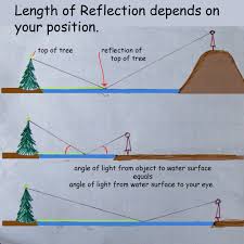 Image result for reflection