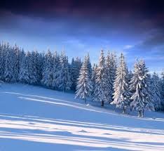 Pin Op Kerst 2016